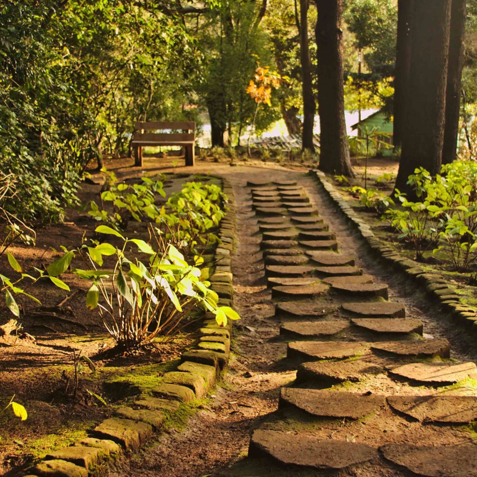 parque de Lota sendero